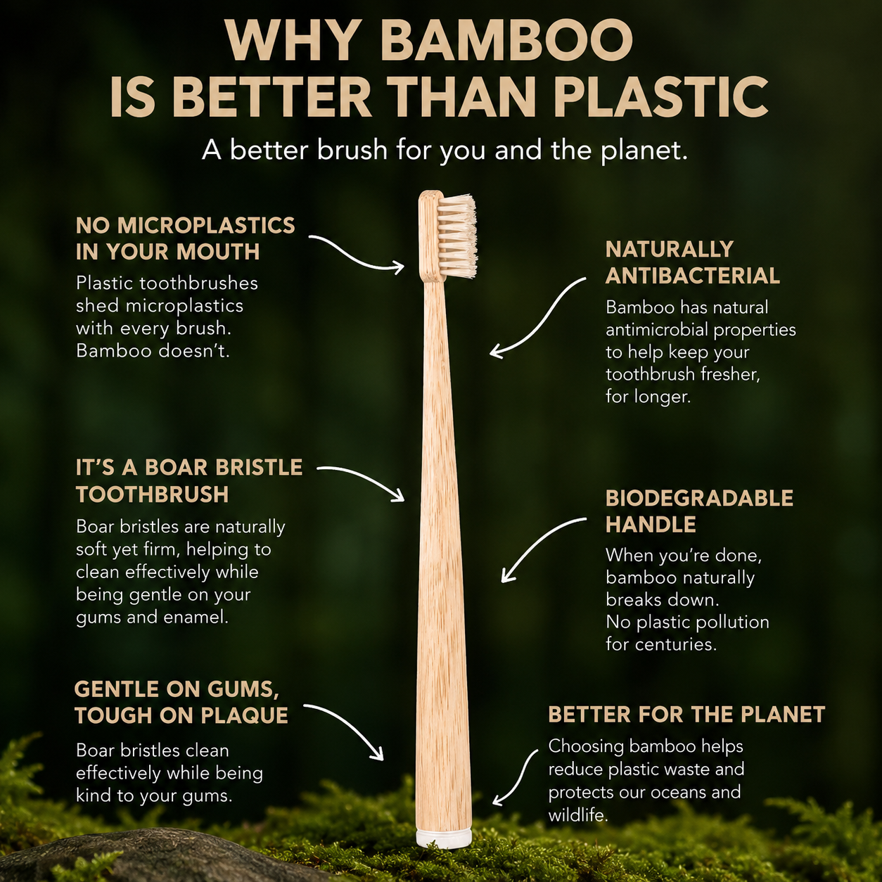 Perfect Living™ Boar Bristle Toothbrush